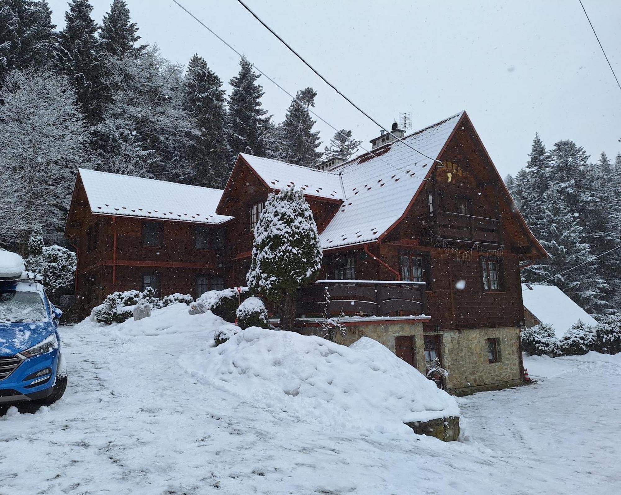 Dom Goscinny Dudek Krynica-Zdrój Esterno foto
