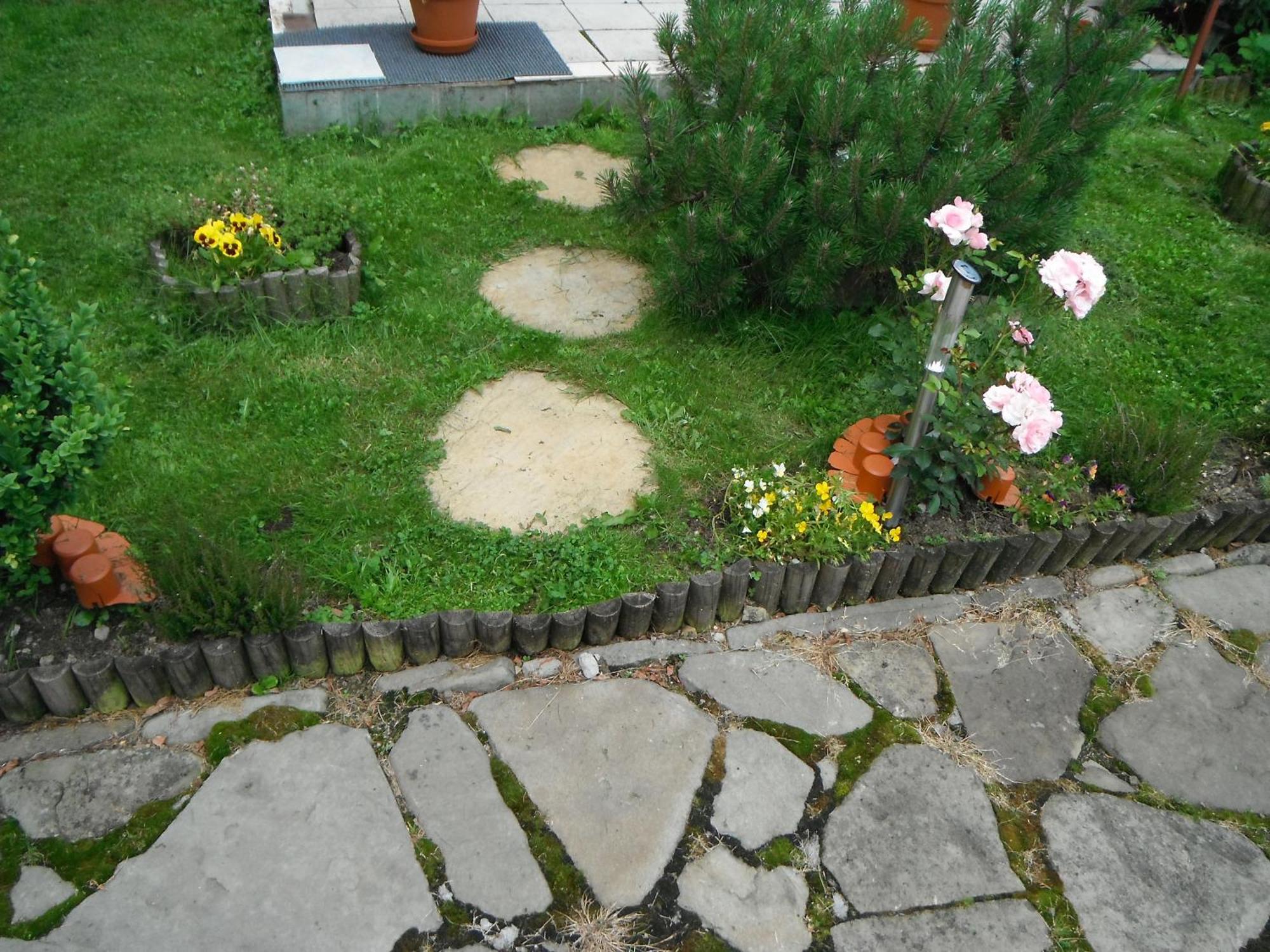 Dom Goscinny Dudek Krynica-Zdrój Esterno foto