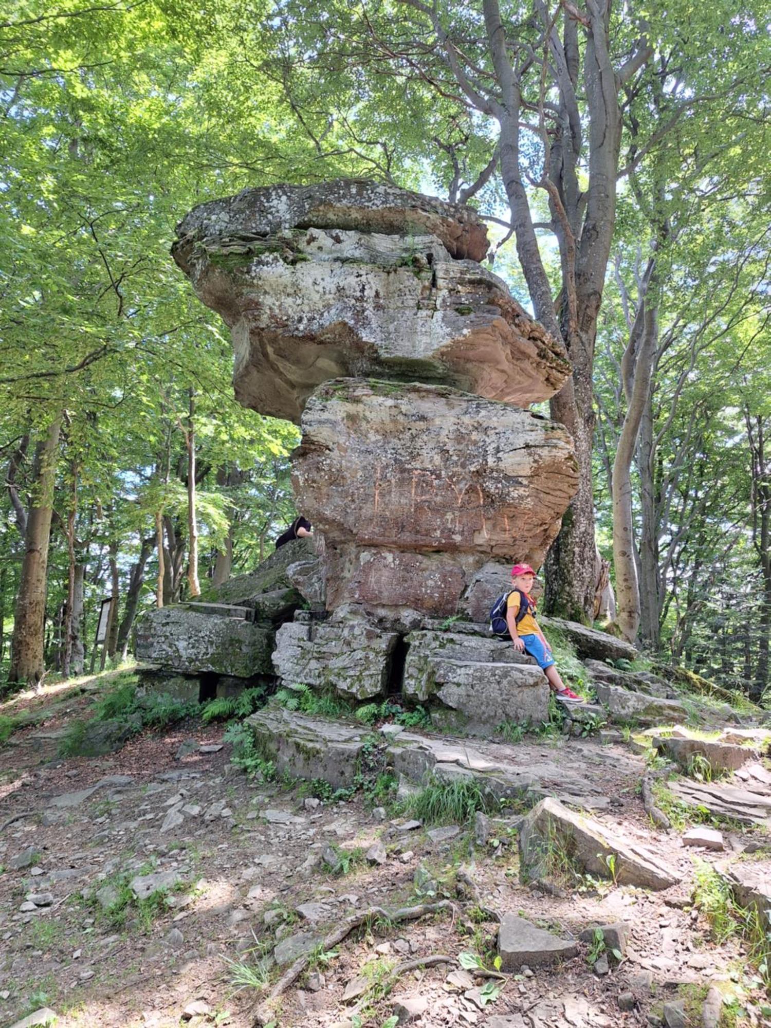 Dom Goscinny Dudek Krynica-Zdrój Esterno foto