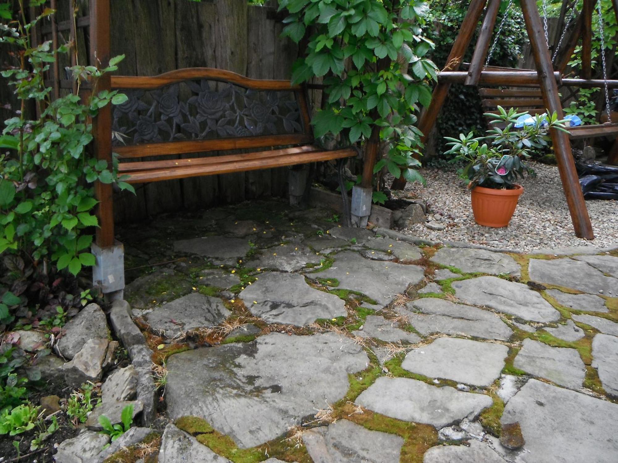 Dom Goscinny Dudek Krynica-Zdrój Esterno foto