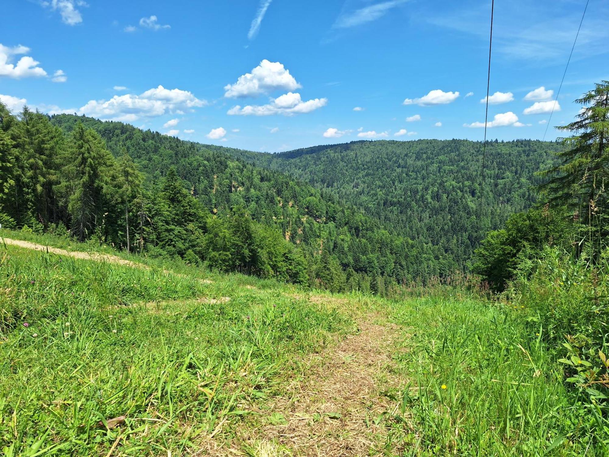 Dom Goscinny Dudek Krynica-Zdrój Esterno foto